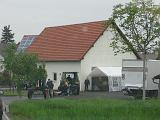 Maibaum 2009 074